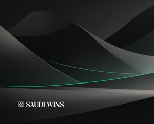 Building Saudi Wins: From an Idea to the First Result on Search and AI Discovery